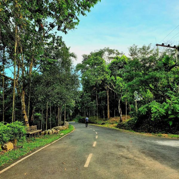 Mawlynnong Village, East Khasi Hills, Meghalaya